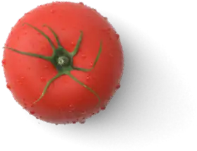 Een rode tomaat